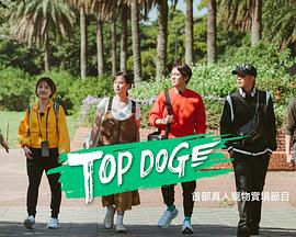 换妻俱乐部《TOP DOG》免费在线观看