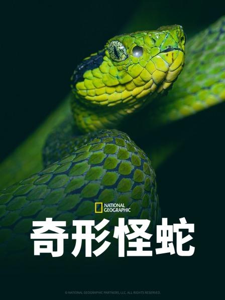 换妻论坛《奇形怪蛇》免费在线观看